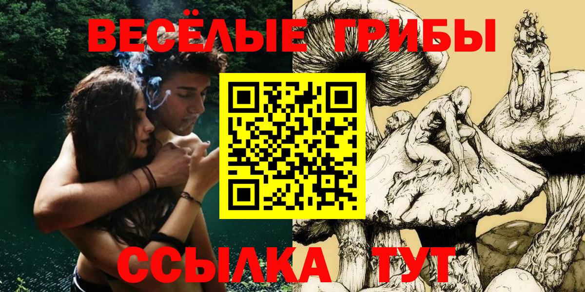 Псилоцибиновые грибы мицелий Воткинск